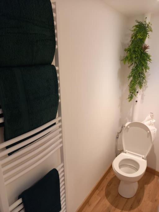 Le Charmant Accueil Viennois/T2/Wifi/Cosy/Parking Poitiers Exteriér fotografie